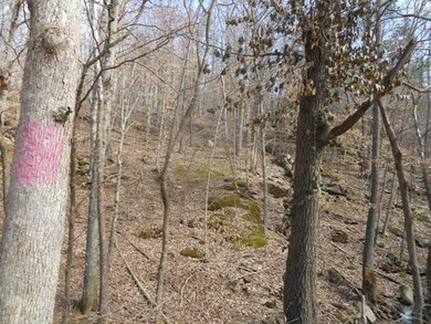 0 Stout Mountain Rd unit 729094, Winslow, AR 72959 - photo 5