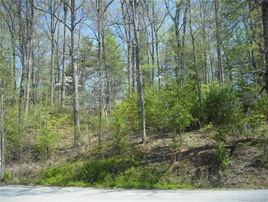 131 Timber Ridge Cir unit LOT 8, Leicester, NC 28748 - photo 7