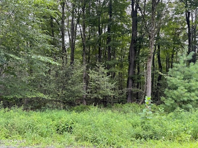 Lot #18 Split Rock Rd, Newfoundland, PA 18445 - photo 5