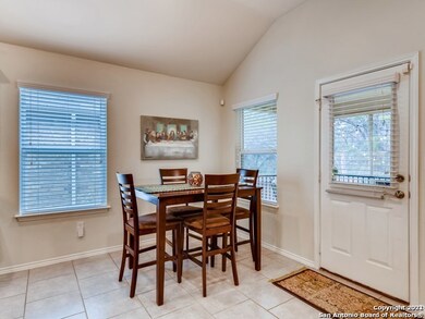 10927 Yaupon Holly, Helotes, TX 78023 - photo 5