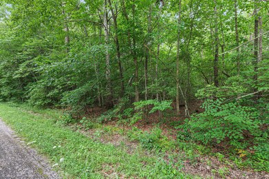 0B Alice Boynton Rd. Manchester, TN 37355