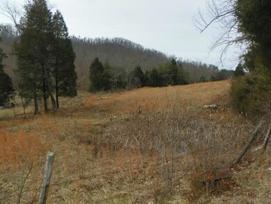 2 Bolton Hollow Rd, Somerset, KY 42501 - photo 5