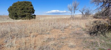 51981 Highway 491 Hwy, Cahone, CO 81320 - photo 5