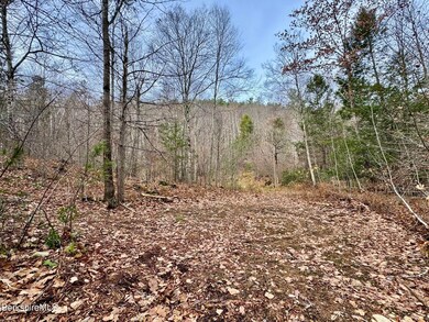 0 W Oxbow Rd unit 248444, Charlemont, MA 01339 - photo 3