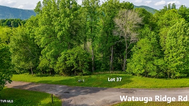 DJI_20240508183342_0898_D-HDR