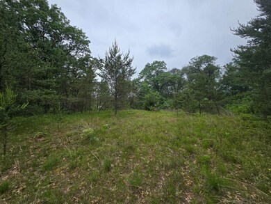 W5834 Waterstone Ln, New Lisbon, WI 53950 - photo 2