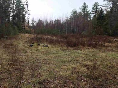 191 Wilkinson Swamp Rd, Effingham, NH 03882 - photo 6