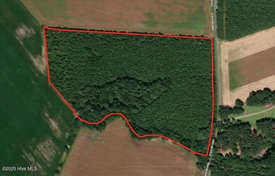 0 Colville St, Rowland, NC 28383 - photo 2