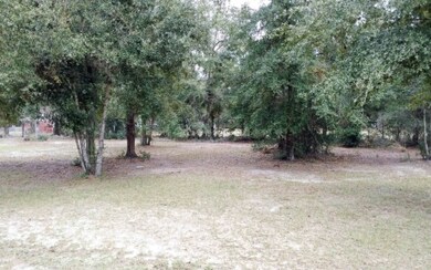 155 Meadowlark Dr, Lake City, FL 32055 - photo 4