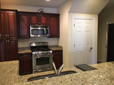 1420 Charles St unit 100, Naperville, IL 60563 - photo 6