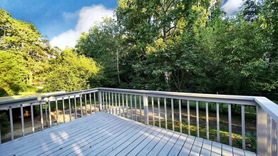 Large Deck