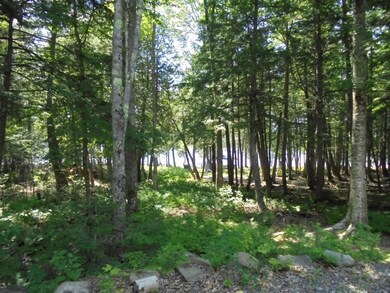 73 Deer Run Ln, Ripley, ME 04930 - photo 7