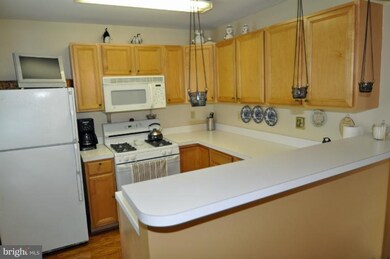 9121 Gracious End Ct unit 203, Columbia, MD 21046 - photo 5