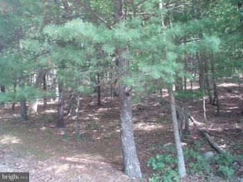 10 Deerwood Ln, Berkeley Springs, WV 25411 - photo 6