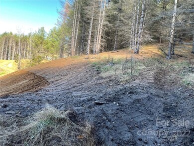 10 Chasing Dreams Dr unit 10, Burnsville, NC 28714 - photo 5