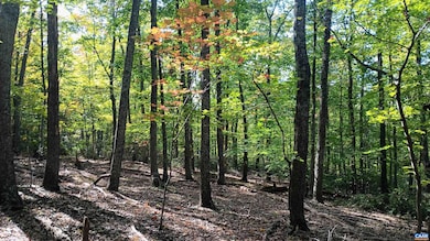 0 Oakcrest Ln unit 671080, Rockfish, VA 22958 - photo 7