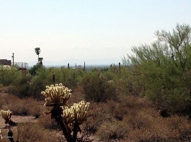(3) Facing W from property (view of AJ)
