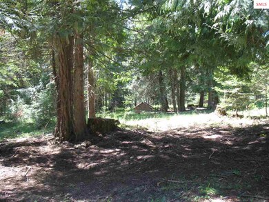 NNA Sunrise Bay Rd, Sagle, ID 83860 - photo 7