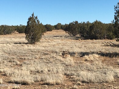 Cedars and Junipers