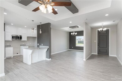 805 Dove St, Alamo, TX 78516 - photo 5