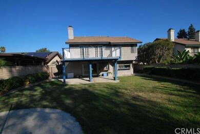 Large back yard