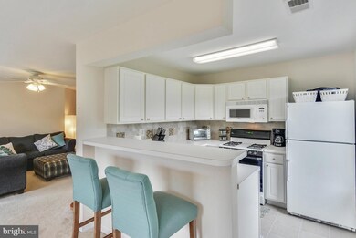 8807 Stone Ridge Cir unit T-2, Pikesville, MD 21208 - photo 6