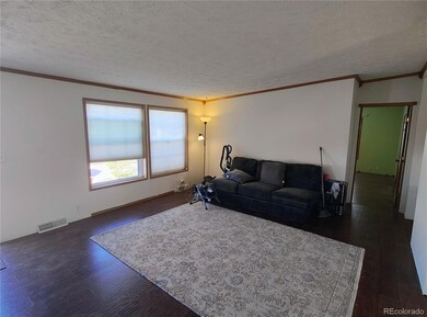 7335 Chelsey Way, Peyton, CO 80831 - photo 3