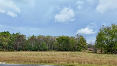 Lot 1 Joe Collins Rd, Lillington, NC 27546 - photo 4