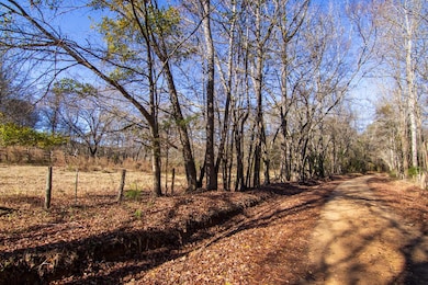 0 Saint Paul Church Rd, Shiloh, GA 31826 - photo 5