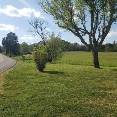 8414 Sevierville Pike, Knoxville, TN 37920 - photo 7