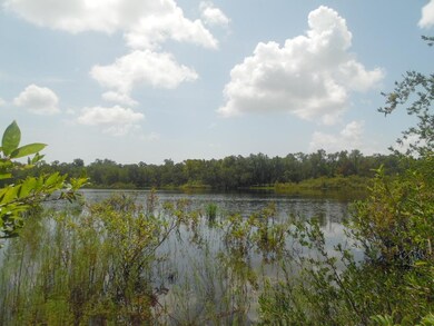 11 Terry Ln, Crawfordville, FL 32327 - photo 4