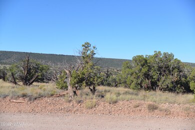 Ranch of the Golden Horse 001