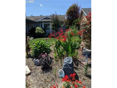 Front Yard