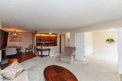 23271 Grist Mill Ct unit 1, Olmsted Falls, OH 44138 - photo 6