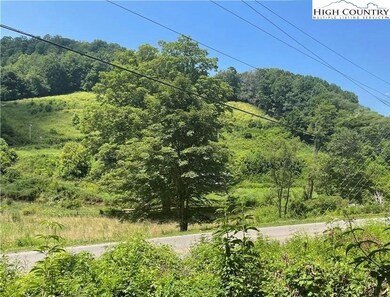 TBD Hwy 88 W, Creston, NC 28615 - photo 7