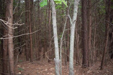 8 A St, Inman, SC 29349 - photo 5