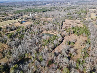 000 Mount Pisgah Rd, Springfield, AR 72157 - photo 5