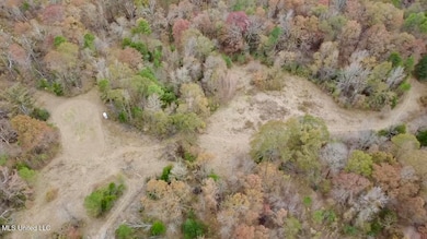 0 Border Rd, Carrollton, MS 38917 - photo 2