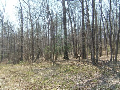 567 S and T Rd, Dunlap, TN 37327 - photo 7