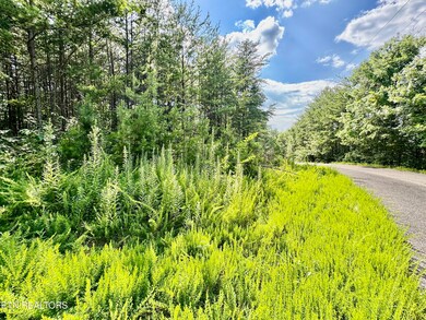 0 Sassafras Trail, Sevierville, TN 37876 - photo 5