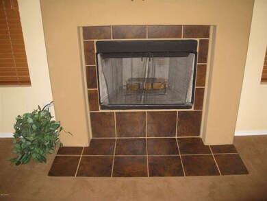 Family Room / Living Room Fireplace