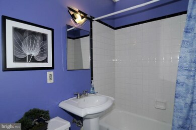 7423 Carroll Ave, Takoma Park, MD 20912 - photo 6