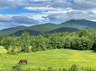 190 Ledge Hill Rd, Center Tuftonboro, NH 03816 - photo 5