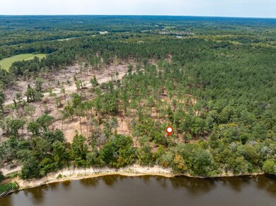 1.04 Mol Ac Old Hwy 24 Parcel 11, Mc Lain, MS 39456 - photo 6