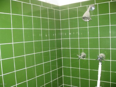 Master Shower