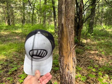 S Rd, Richards, MO 64778 - photo 3