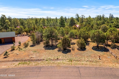 3327SawMillRidgeLoop-Heber-AZ-3