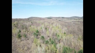 12 Charl Ln, Brunswick, NY 12180 - photo 5