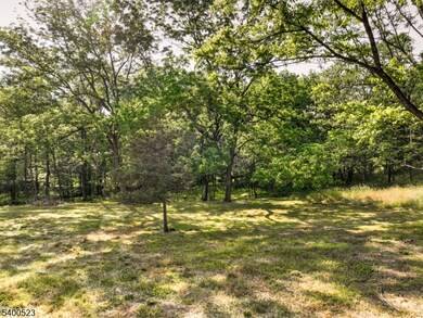 83 Readington Rd, Whitehouse Station, NJ 08889 - photo 6