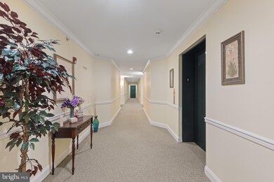 4650 Alcott Way unit 405, Owings Mills, MD 21117 - photo 3